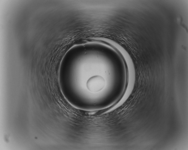 X0000101120769200806261435