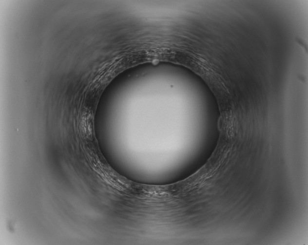 X0000101120770200806261435