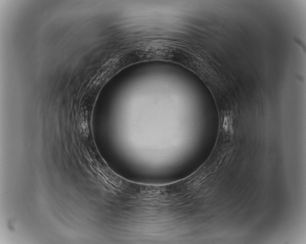 X0000101120771200806261435
