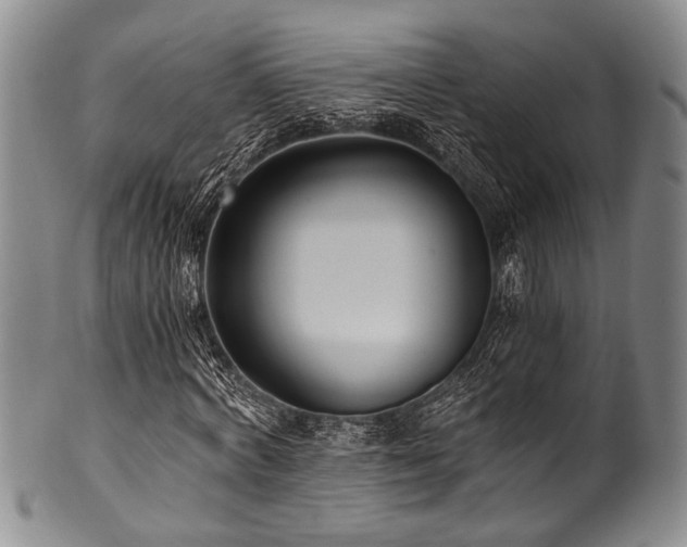 X0000101120772200806261435