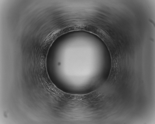 X0000101120773200806261435