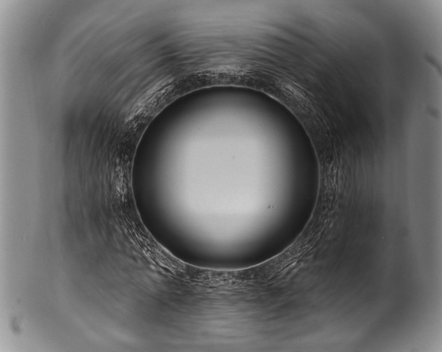 X0000101120774200806261435
