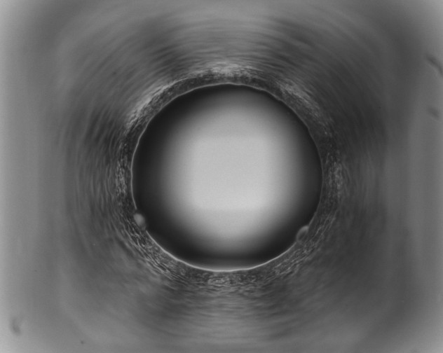 X0000101120776200806261435