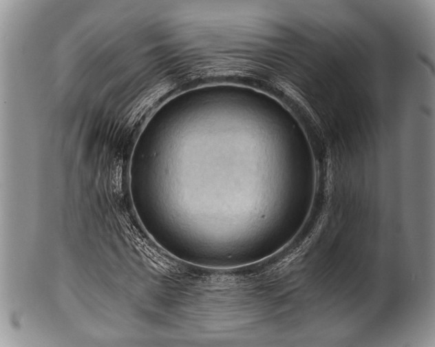 X0000101120777200806261435