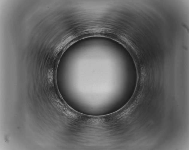 X0000101120778200806261435