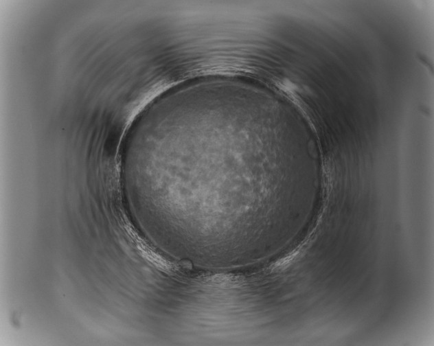 X0000101120779200806261435