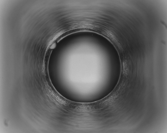 X0000101120780200806261435