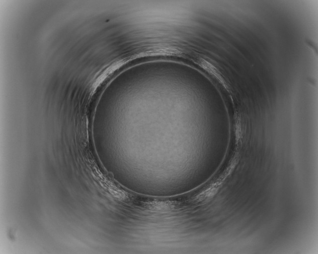 X0000101120781200806261435