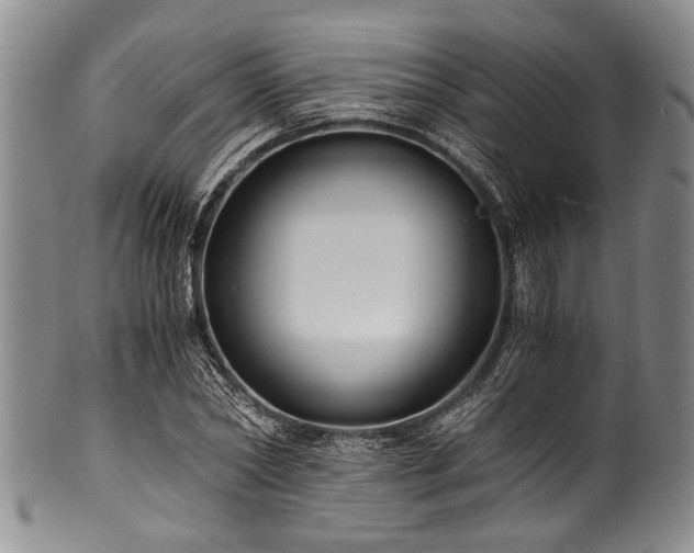 X0000101120782200806261435