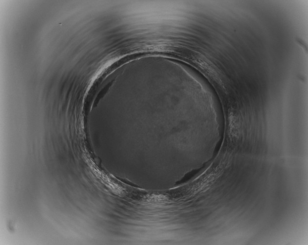 X0000101120784200806261435