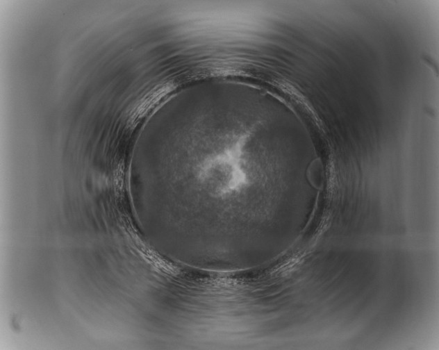 X0000101120785200806261435