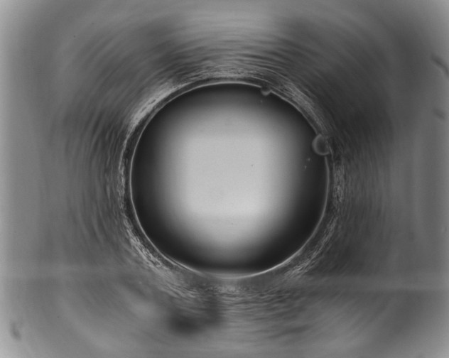 X0000101120787200806261435