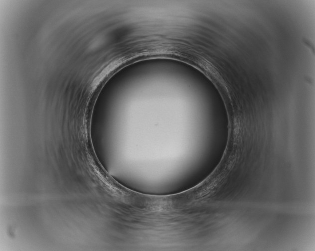 X0000101120789200806261435
