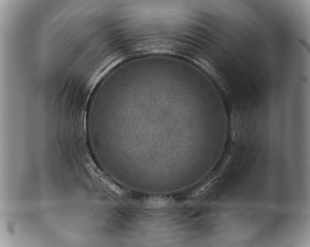 X0000101120790200806261435