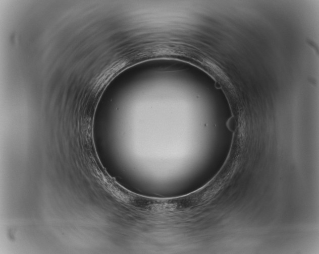 X0000101120793200806261435