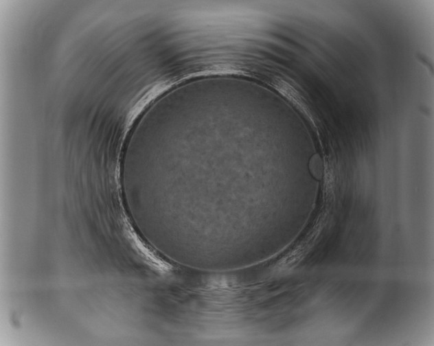 X0000101120797200806261435