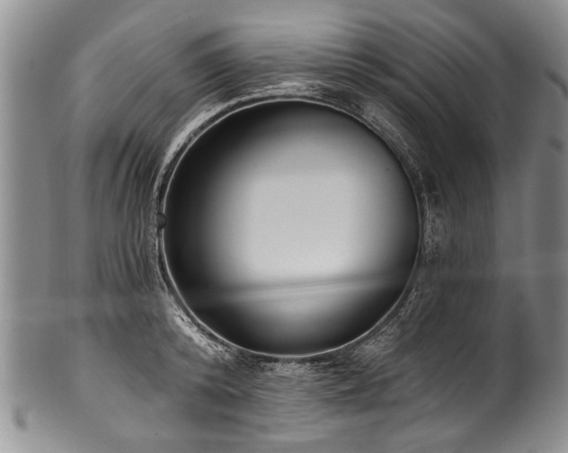 X0000101120800200806261435