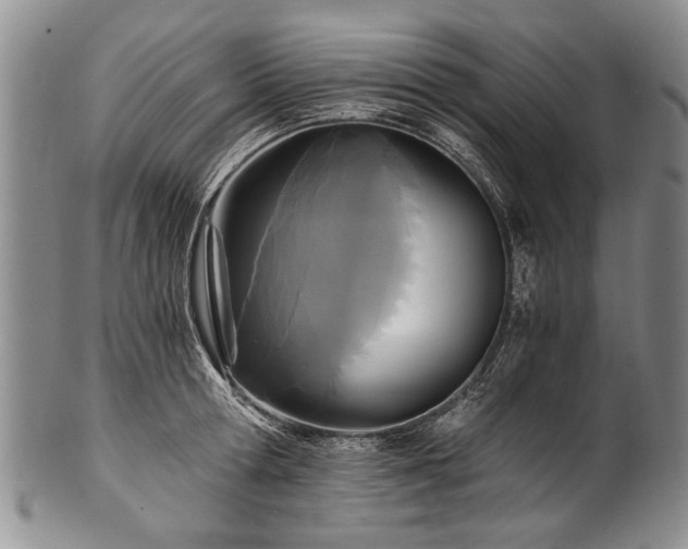 X0000101120802200806261435