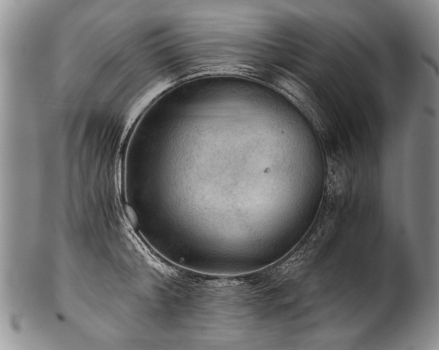 X0000101120804200806261435
