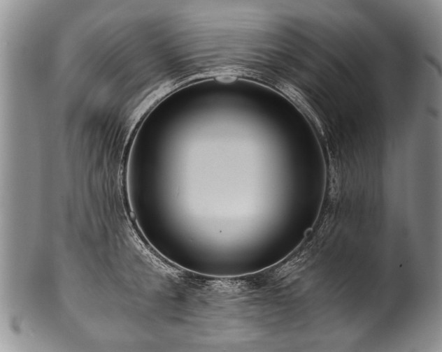 X0000101120805200806261435