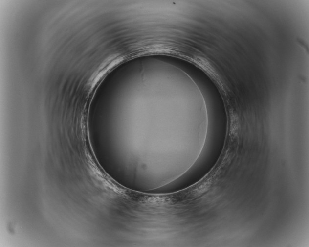 X0000101120806200806261435