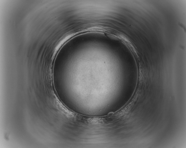 X0000101120808200806261435