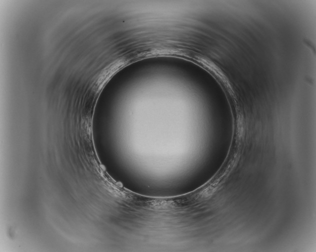 X0000101120809200806261435