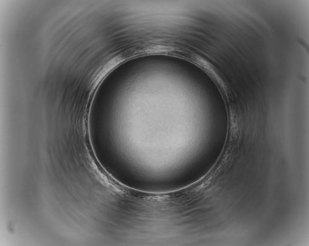 X0000101120810200806261435