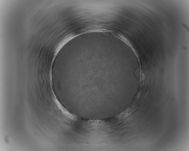 X0000101120811200806261435