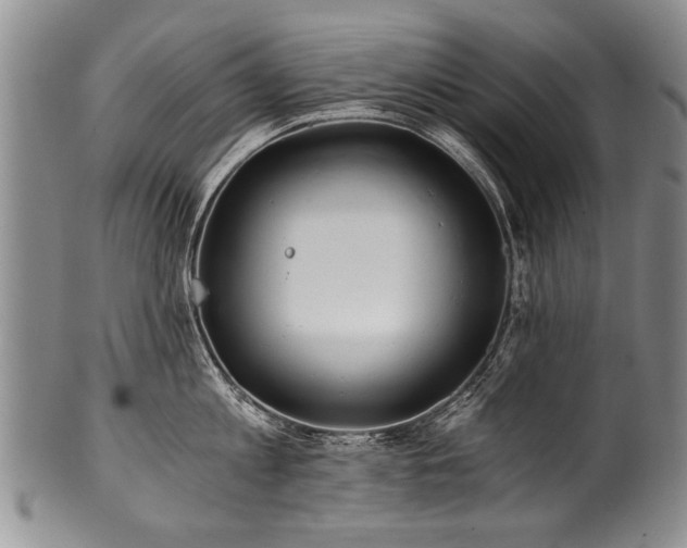 X0000101120813200806261435