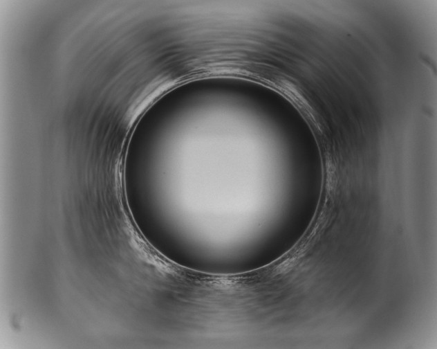 X0000101120814200806261435