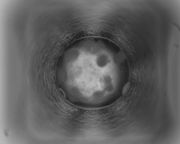X0000101120817200806261434