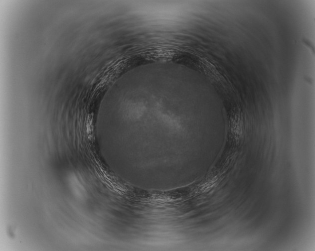 X0000101120818200806261434