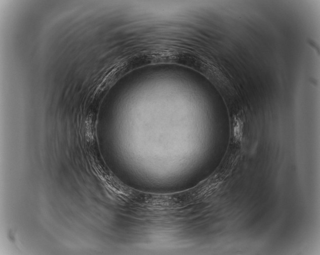 X0000101120819200806261434