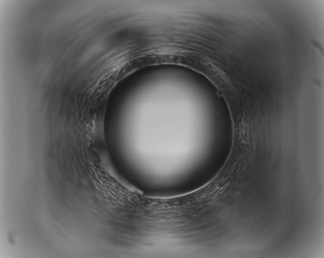 X0000101120821200806261434