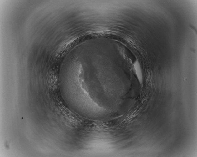 X0000101120822200806261434