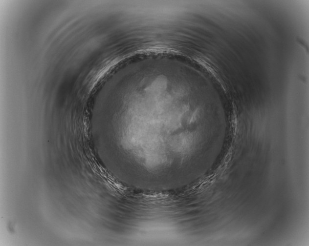 X0000101120823200806261434