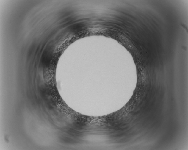 X0000101120824200806261434