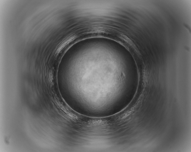 X0000101120826200806261434