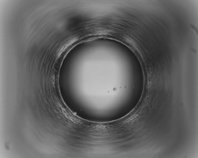 X0000101120827200806261434