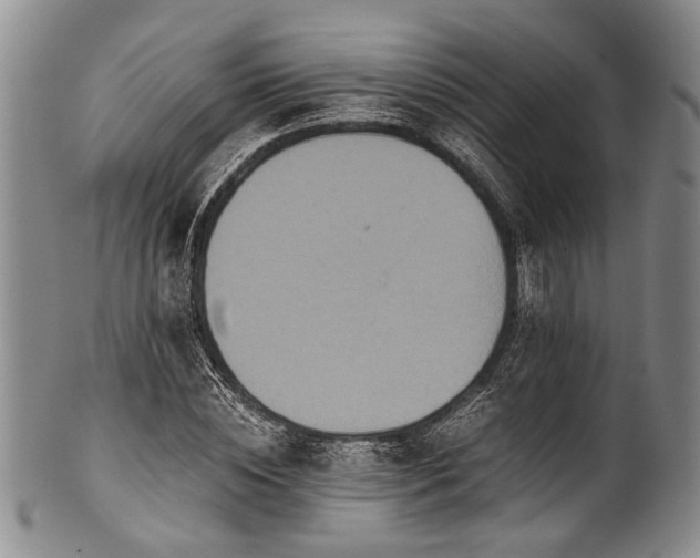 X0000101120828200806261434