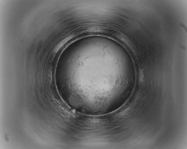 X0000101120829200806261434