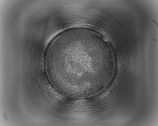 X0000101120830200806261434