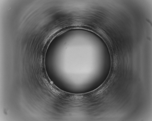 X0000101120831200806261434