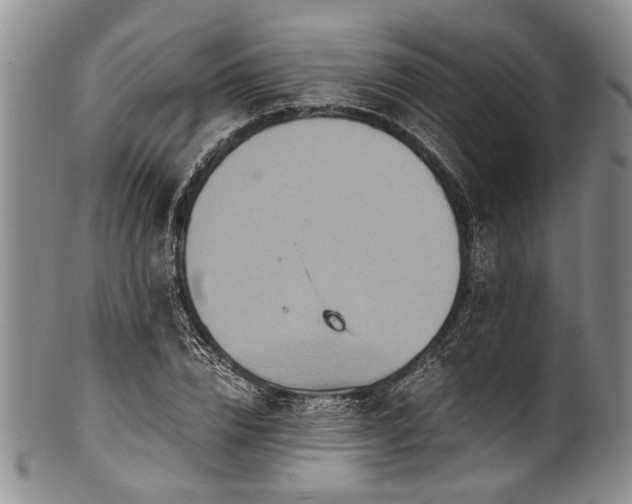 X0000101120832200806261434