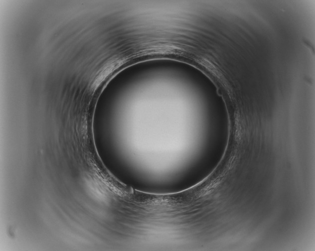 X0000101120834200806261434