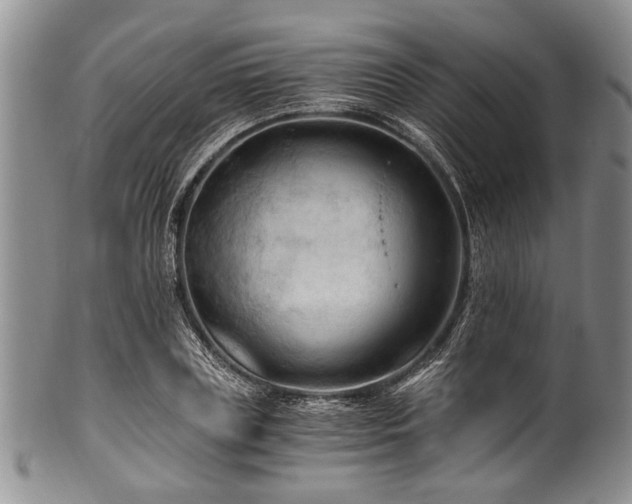 X0000101120835200806261434