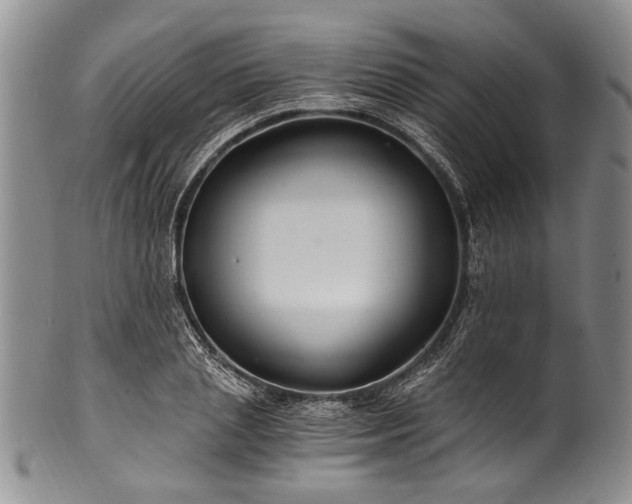 X0000101120837200806261434