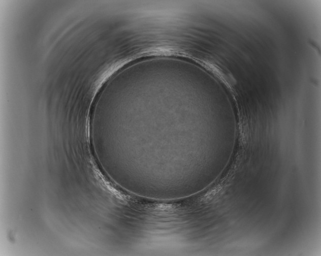 X0000101120839200806261434