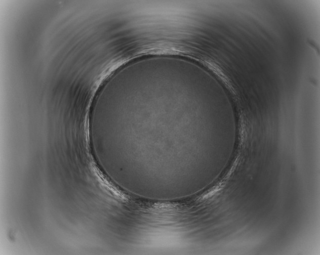 X0000101120840200806261434